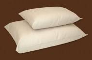 Organic_Cotton_o_4decea251b902.jpg