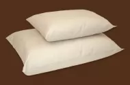 Organic_Cotton_o_4decea251b902.jpg
