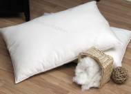 Cotton_Pillow____4bca0ceb39f21.jpg