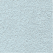 222308_photogallery1_2536226177_thumb_Nightingale