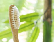 bamboo-brush-3