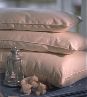 organic wool pillow