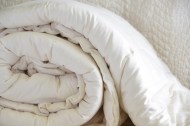 Cotton_Comforter_499c6ec8bbcde.jpg